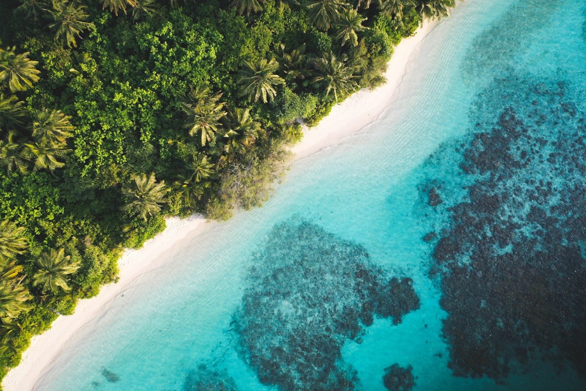 A precise aerial line where jungle, sand, and reef meet, representing a trader working through the numbers with the same precision